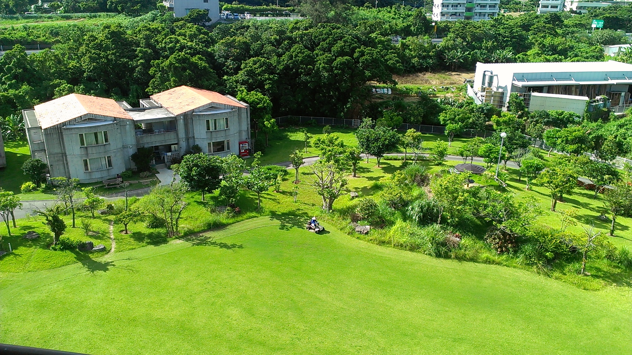 病院の庭園